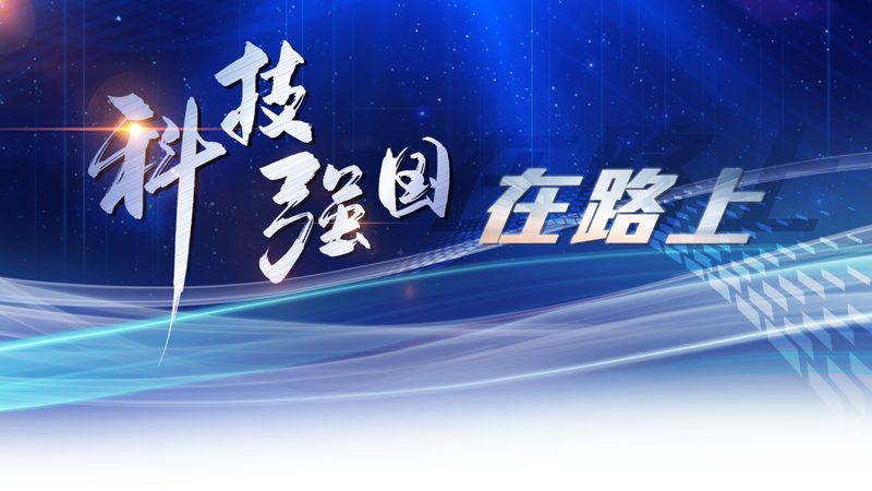 供应链管理平台实施流程：关键步骤与注意事项**