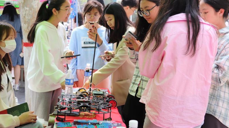 SaaS平台与本地软件维护：性能与成本的权衡